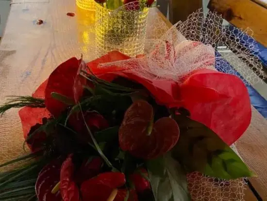 Köyceğiz Activities