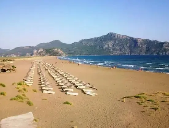 Iztuzu Beach Boat Trip. Koycegiz Iztuzu Boat Tour And Price.