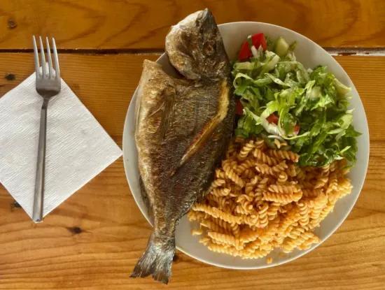 Köyceğiz Aktiviteleri